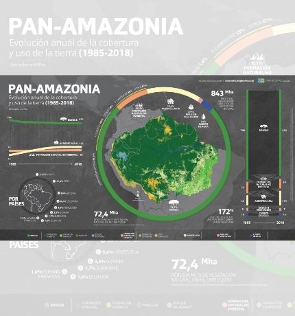 La Amazonía perdió una cobertura vegetal equivalente al territorio de Chile en 30 años