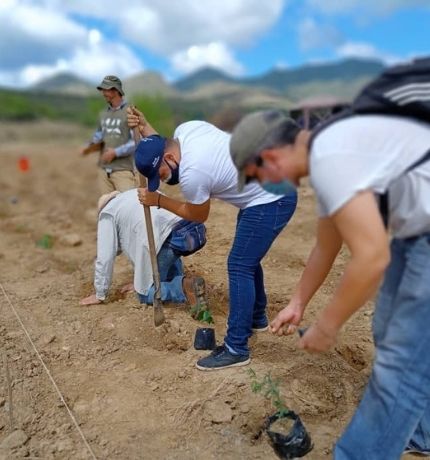 Provita celebró el Día del Voluntario con una siembra en el bosque seco de Macanao