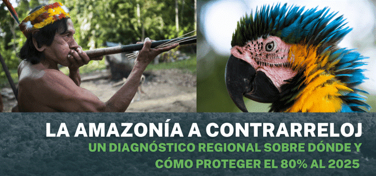 Líderes indígenas e investigadores publican nuevo informe: “Amazonía a Contrarreloj: dónde y cómo proteger el 80% al 2025”, exhortando a los líderes mundiales a tomar medidas urgentes