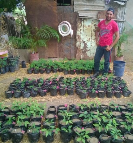 Provita reactiva viveros comunitarios para su Plan de Restauración del Bosque Seco en la isla de Margarita