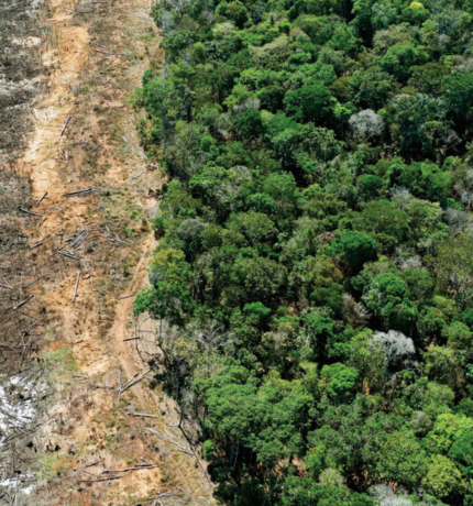 Deforestación en la Amazonía: pasado, presente y futuro