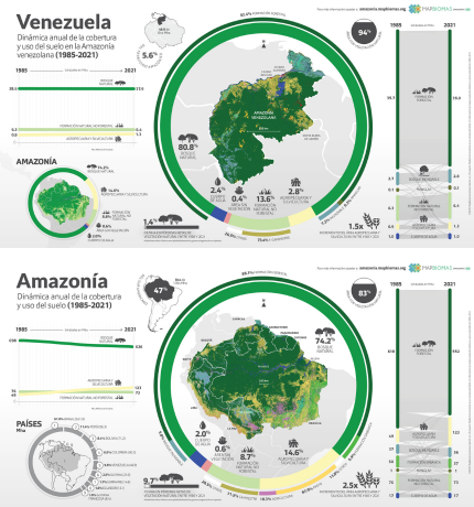 La Amazonía perdió 9,7% de su vegetación natural en 37 años