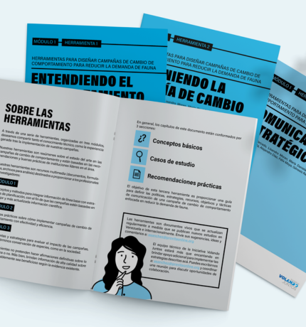 La Iniciativa Volando Juntos publica guías para el diseño de campañas de cambio de comportamiento anti-tráfico en Latinoamérica