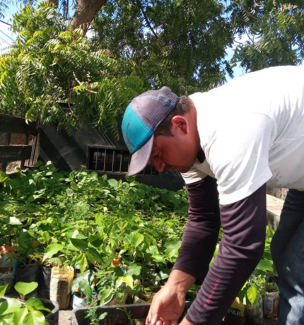 Provita avanza en restauración ecológica del bosque seco de Macanao