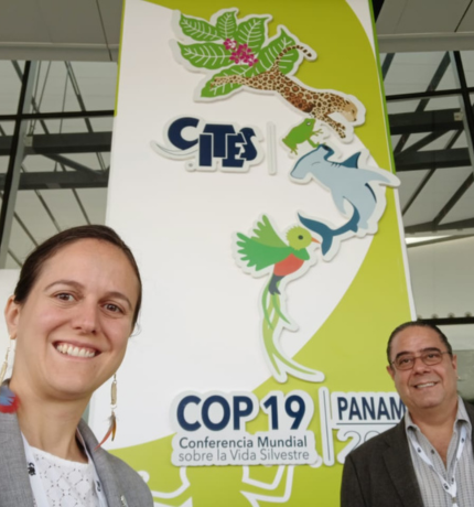 Provita presente en la 19ª reunión de la Conferencia de las Partes de la CITES (CoP19).