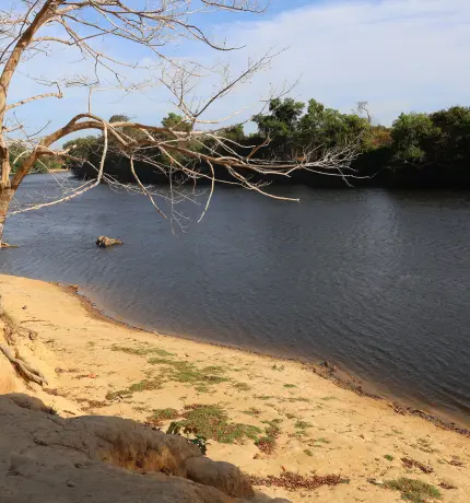 La Amazonía pierde agua y glaciares: señales de alerta para la seguridad hídrica de la región 