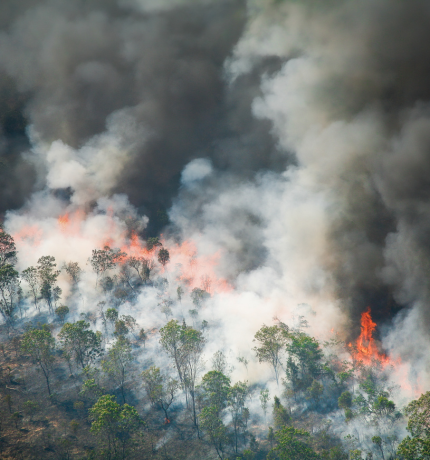 Fuego en la Amazonía: 